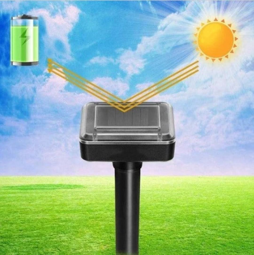 Skorter | Rejector On Solar Energy - Muse Moser Hoses