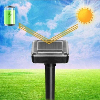 Skorter | Rejector On Solar Energy - Muse Moser Hoses