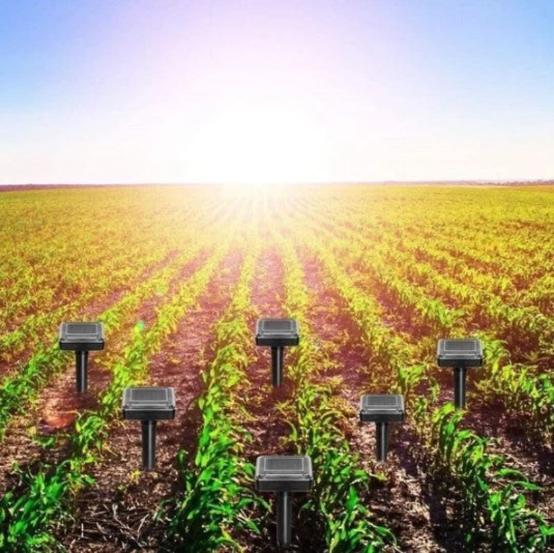 Skorter | Rejector On Solar Energy - Muse Moser Hoses