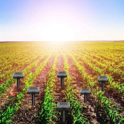 Skorter | Rejector On Solar Energy - Muse Moser Hoses