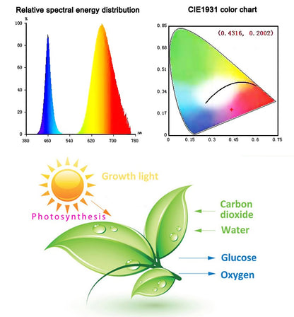 Skorter | Led Grow Lights - Plant Grow Light