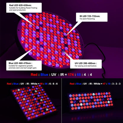 Skorter | Led Grow Lights - Plant Grow Light