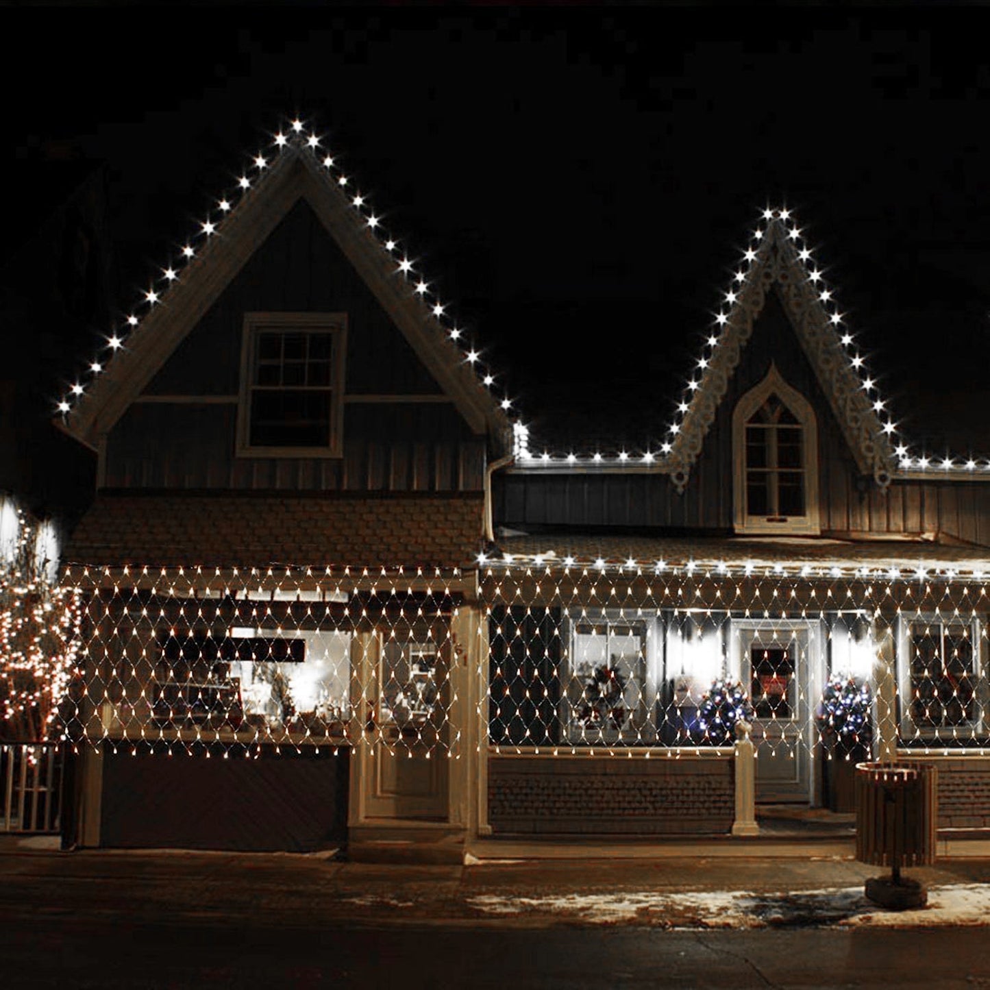 Skorter | AGPtEK 300LED Net Mask Fairy String Lights