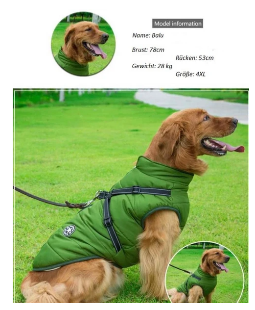 Skorter | All-Weather Dog Jacket
