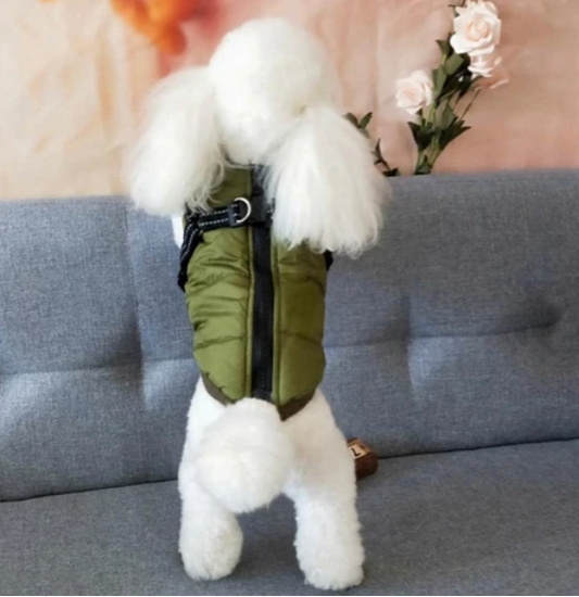 Skorter | All-Weather Dog Jacket