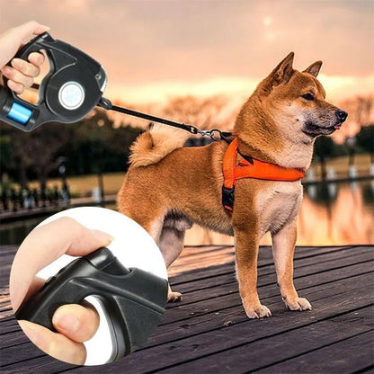 Skorter | AMÉLIE – LED Dog Leash with Integrated Flashlight
