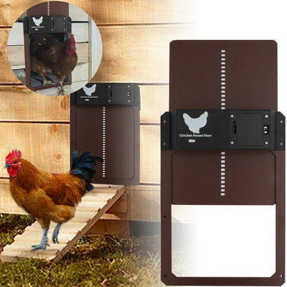 Skorter | Automatic Chicken Coop Door System - SafeCoop