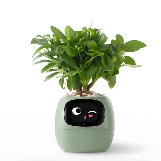 Skorter | Automatic Smart Flowerpot - GreenBuddy SmartPot