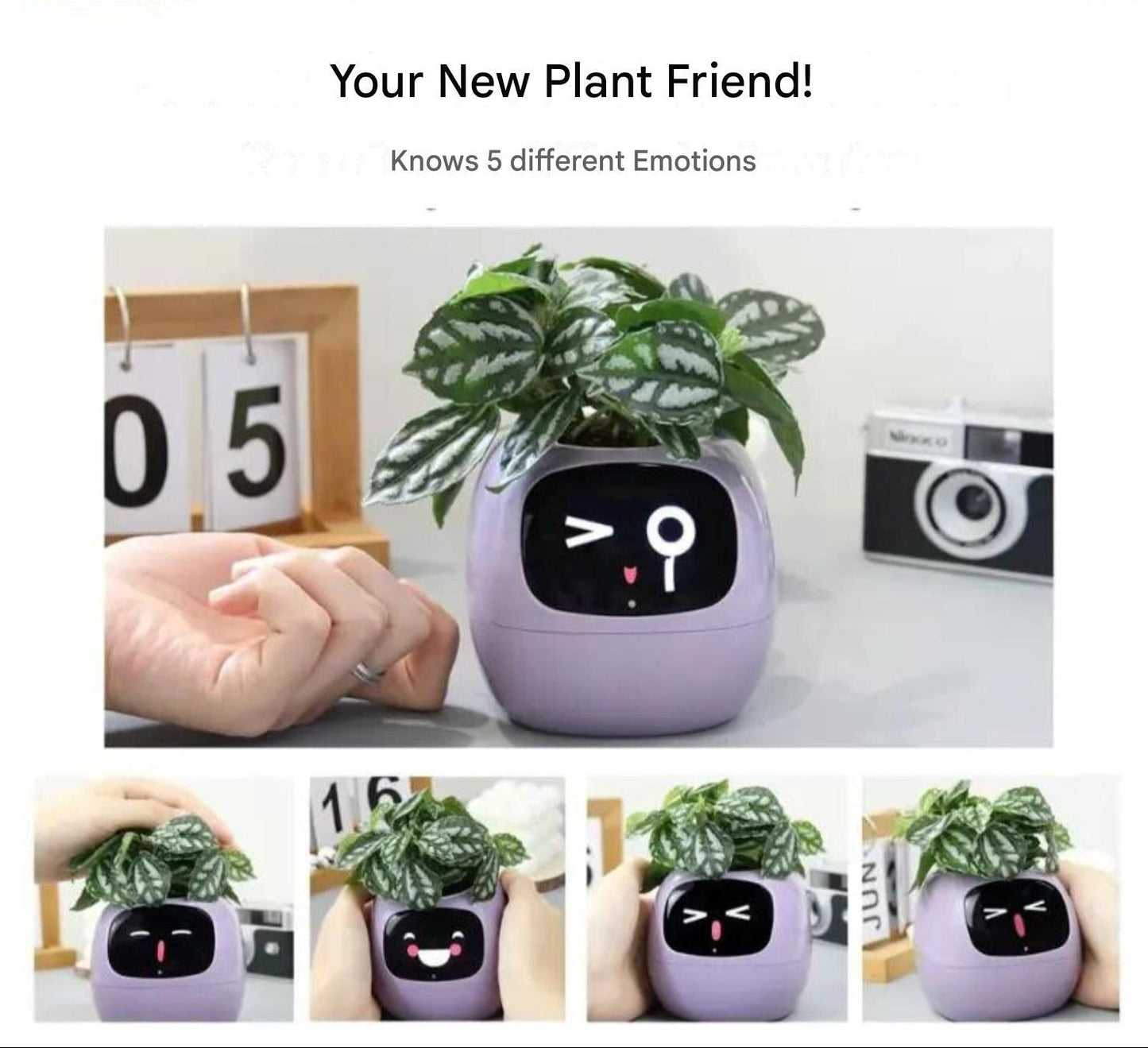 Skorter | Automatic Smart Flowerpot - GreenBuddy SmartPot