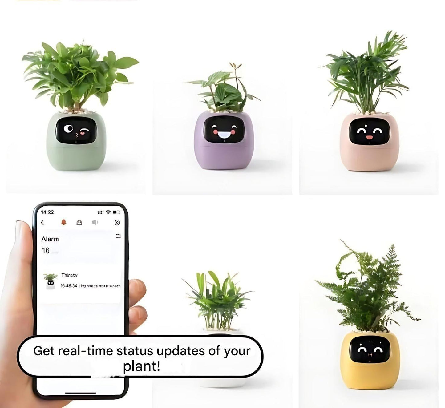 Skorter | Automatic Smart Flowerpot - GreenBuddy SmartPot