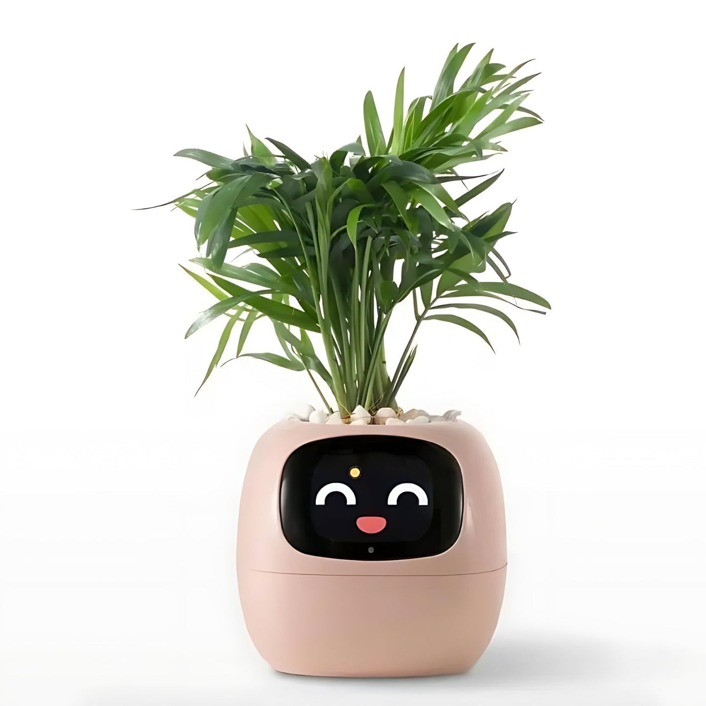 Skorter | Automatic Smart Flowerpot - GreenBuddy SmartPot