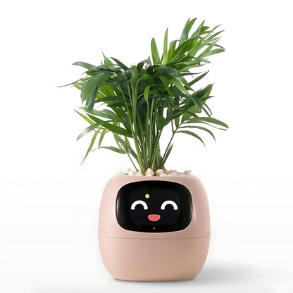Skorter | Automatic Smart Flowerpot - GreenBuddy SmartPot