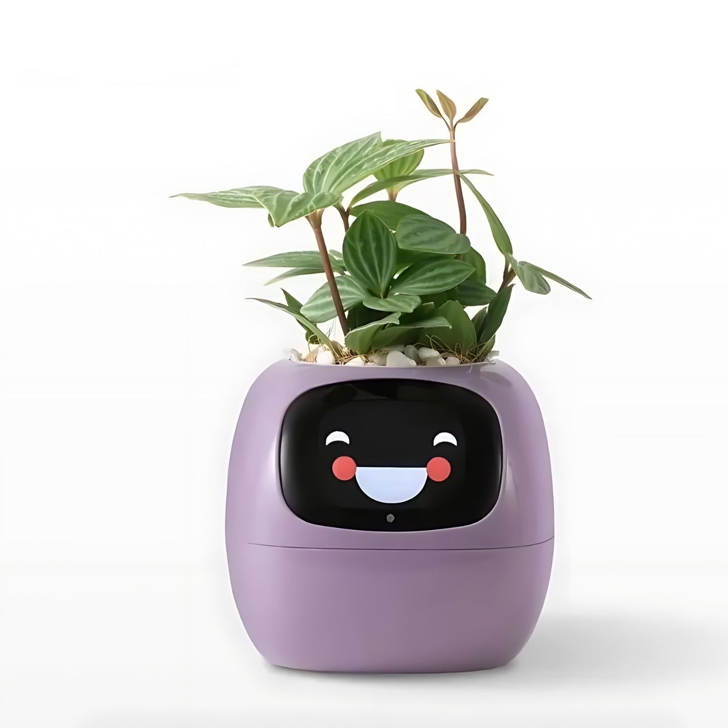 Skorter | Automatic Smart Flowerpot - GreenBuddy SmartPot