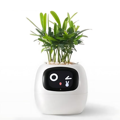 Skorter | Automatic Smart Flowerpot - GreenBuddy SmartPot
