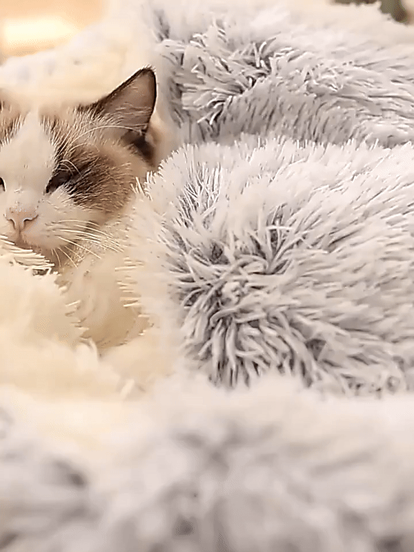 Skorter | Cozy Cave Pet Bed | Calming & Comfortable Dog Bed for Deep Relaxation