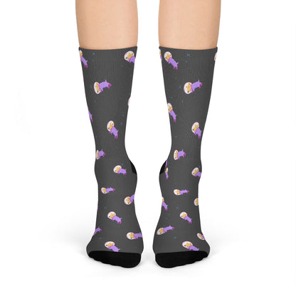 Skorter | Dog in Space Fun Socks