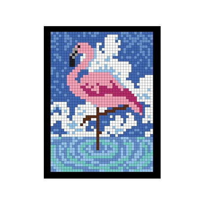 Skorter | 100 QUEST Color