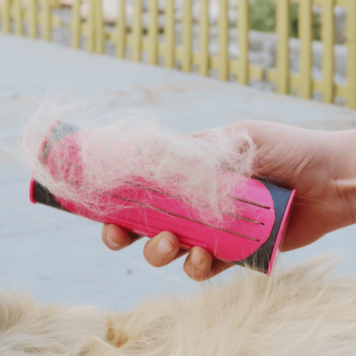 Skorter | 3 in 1 Deshedding Undercoat & Fur Brush