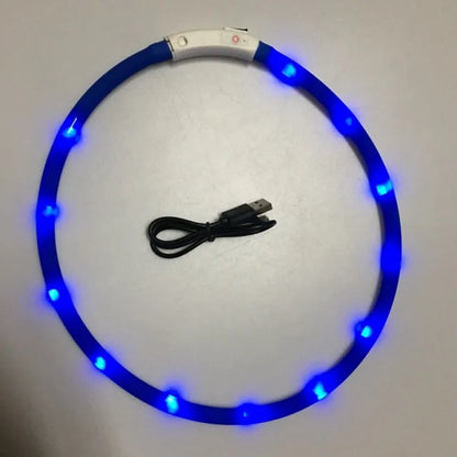Skorter | LED Pet Collar