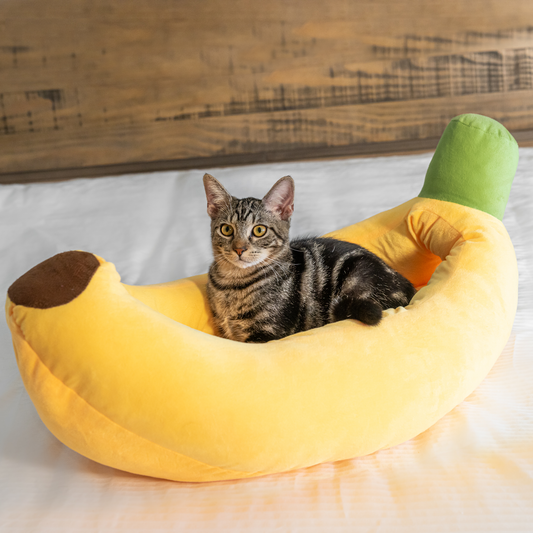Skorter | Banana Cat Bed