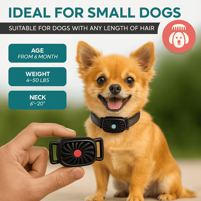 Skorter | BarkLess Nano – Gentle Anti-Bark Collar for Puppies & Small Dogs