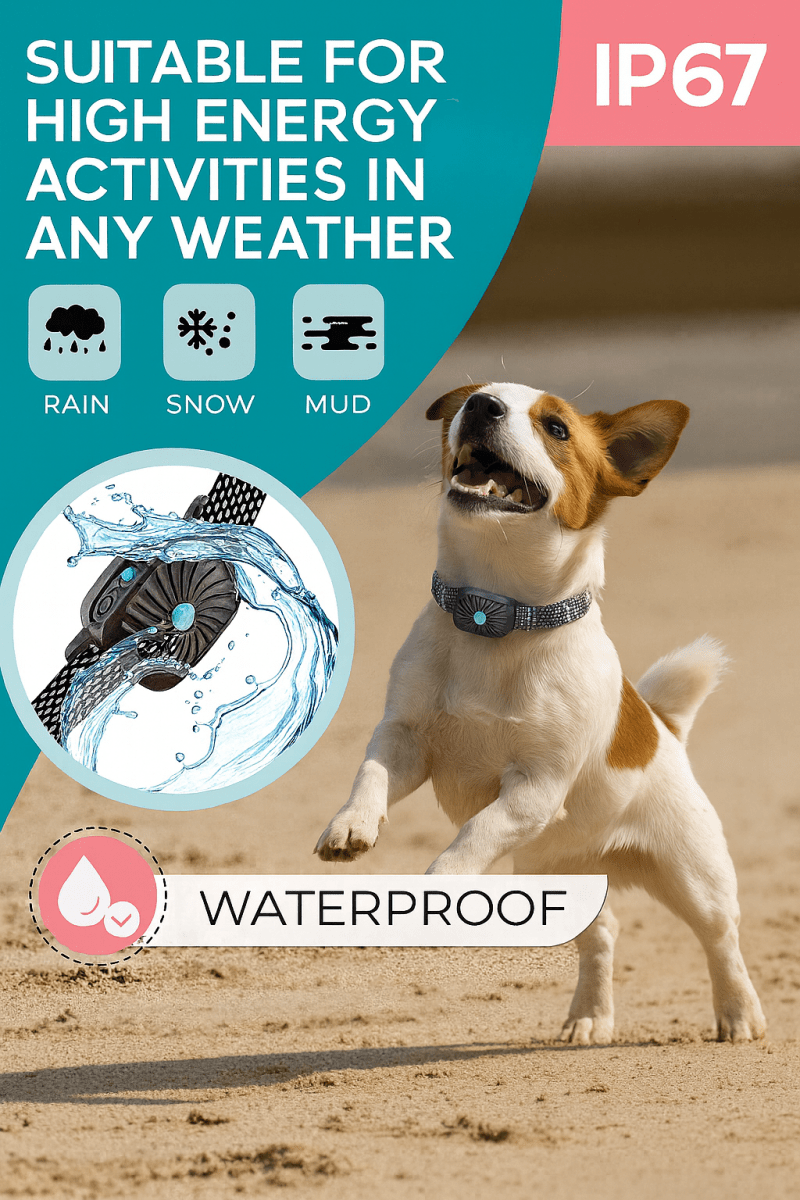 Skorter | BarkLess Nano – Gentle Anti-Bark Collar for Puppies & Small Dogs