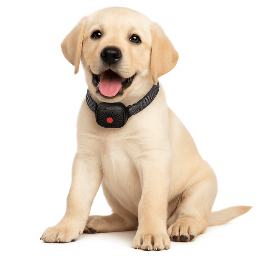 Skorter | BarkLess Nano – Gentle Anti-Bark Collar for Puppies & Small Dogs