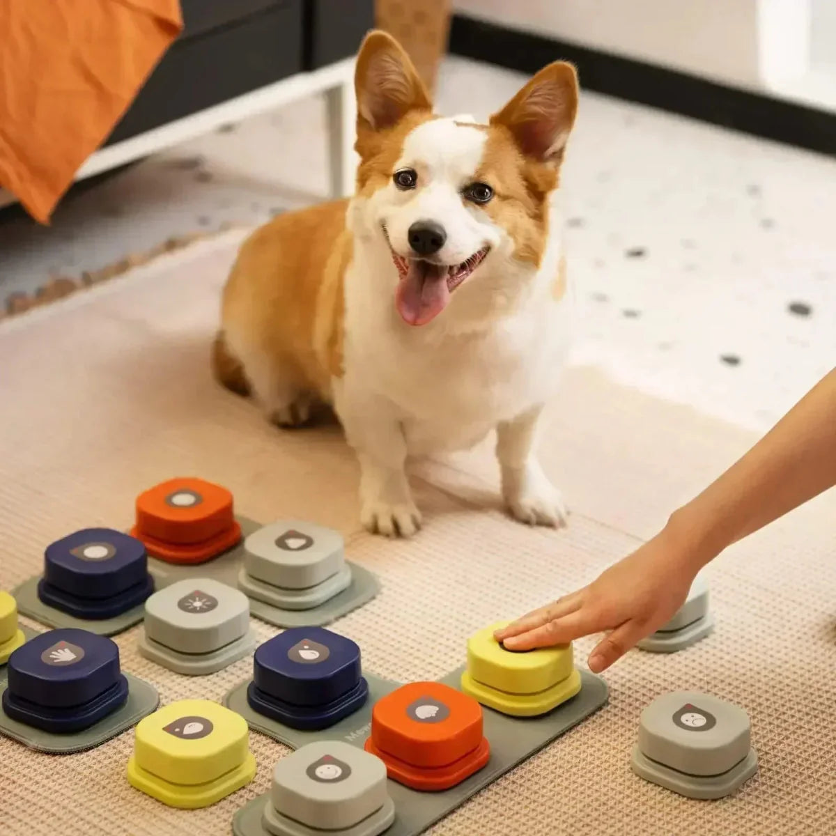 Skorter | BARKTALK – Interactive Voice Buttons for Dog Communication & Training
