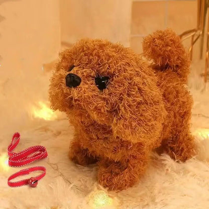 Skorter | Barkybuddy | Perfect Company