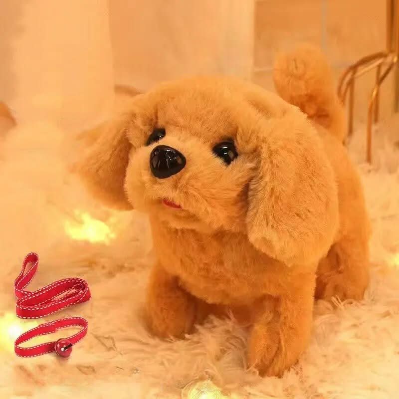 Skorter | Barkybuddy | Perfect Company