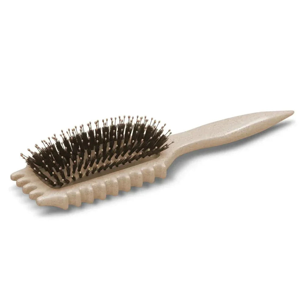 Skorter | Detangling Brush for Defined, Frizz-Free Curls