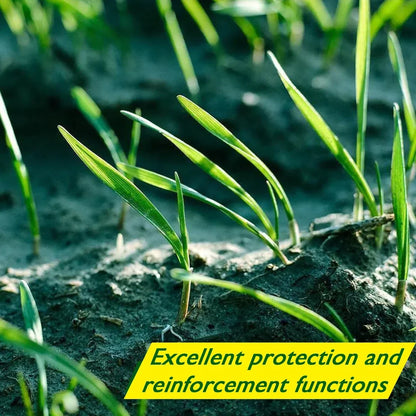 Skorter | Biodegradable Netted Grass Seed Mat | All-in-One Growth System for Quick Germination in Sun, Shade & Slopes