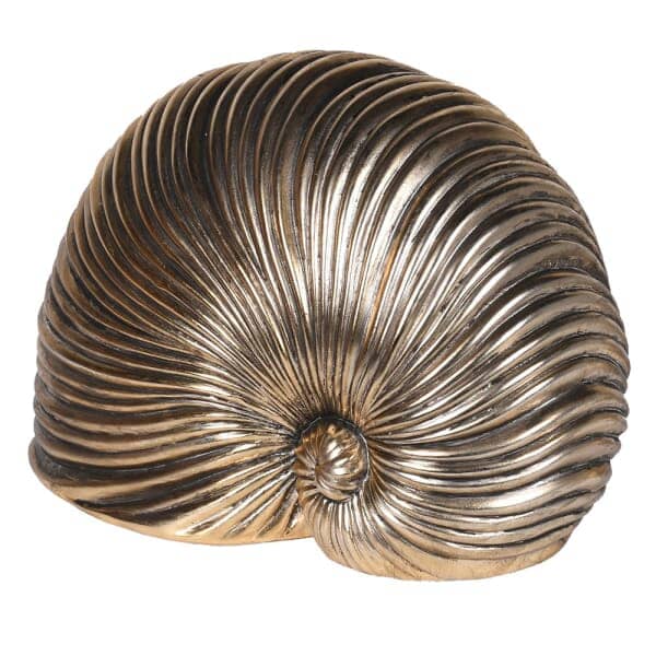 Skorter | Bianco Gold Shell Decorative Ornament