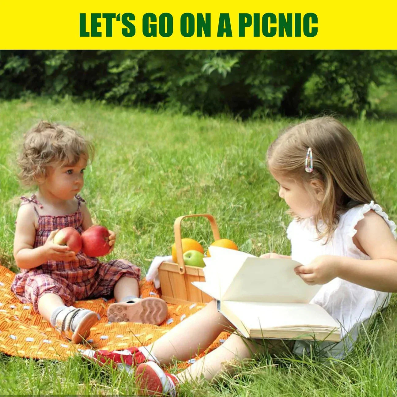 Skorter | Biodegradable Netted Grass Seed Mat | All-in-One Growth System for Quick Germination in Sun, Shade & Slopes