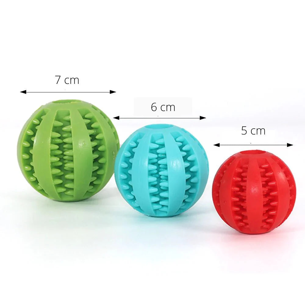 Skorter | BITEFUN – Interactive Dog Toy with Dental Care Function