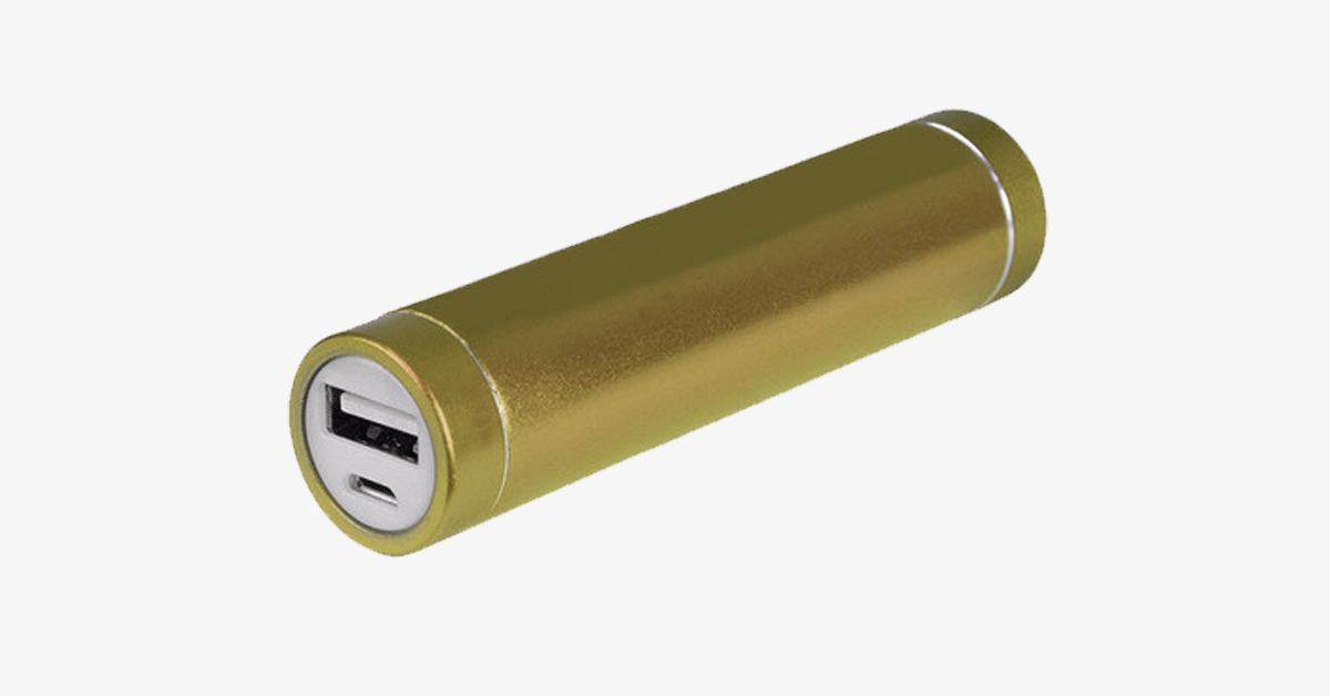 Skorter | Battery Charger – Charge on the go!