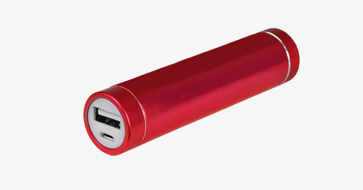 Skorter | Battery Charger – Charge on the go!