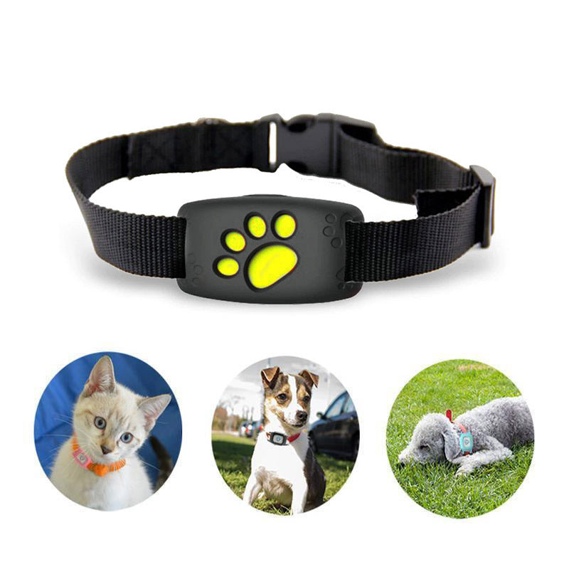 Skorter | GPS Cat Collar