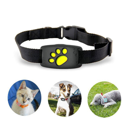 Skorter | GPS Cat Collar