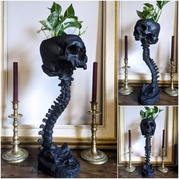 Skorter | BoneBloom | Planter with Skull and Spine