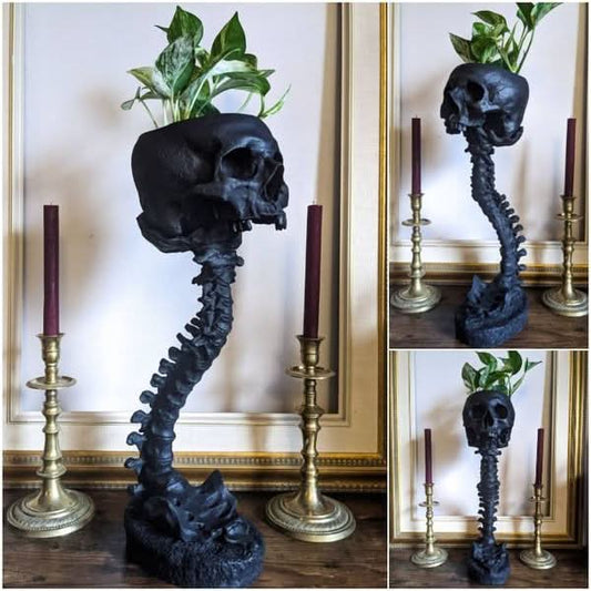 Skorter | BoneBloom | Planter with Skull and Spine