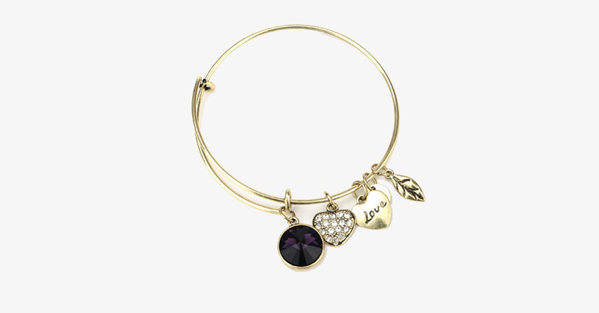 Skorter | February Birthstone Charm Bracelet