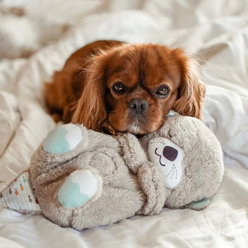 Skorter | Calming Breathing Otter Toy with Music and Lights