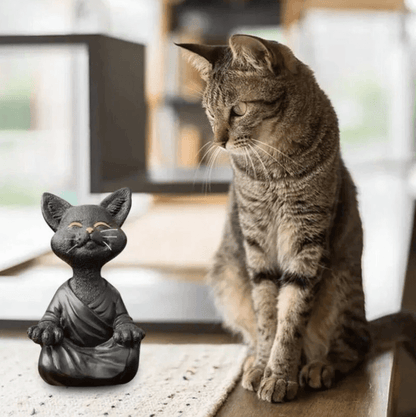 Skorter | Buddha Cat