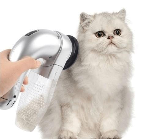 Skorter | Best handheld vacuum for pet hair