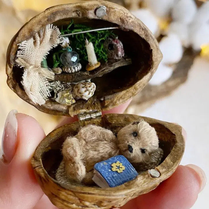 Skorter | Handmade.Walnut Shell Doll House--Mini Library, Tiny World Inside Walnuts