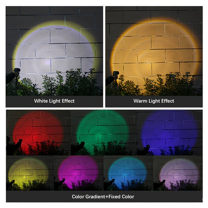 Skorter | LumiSpot - Solar LED Lighting for Garden and Landscape