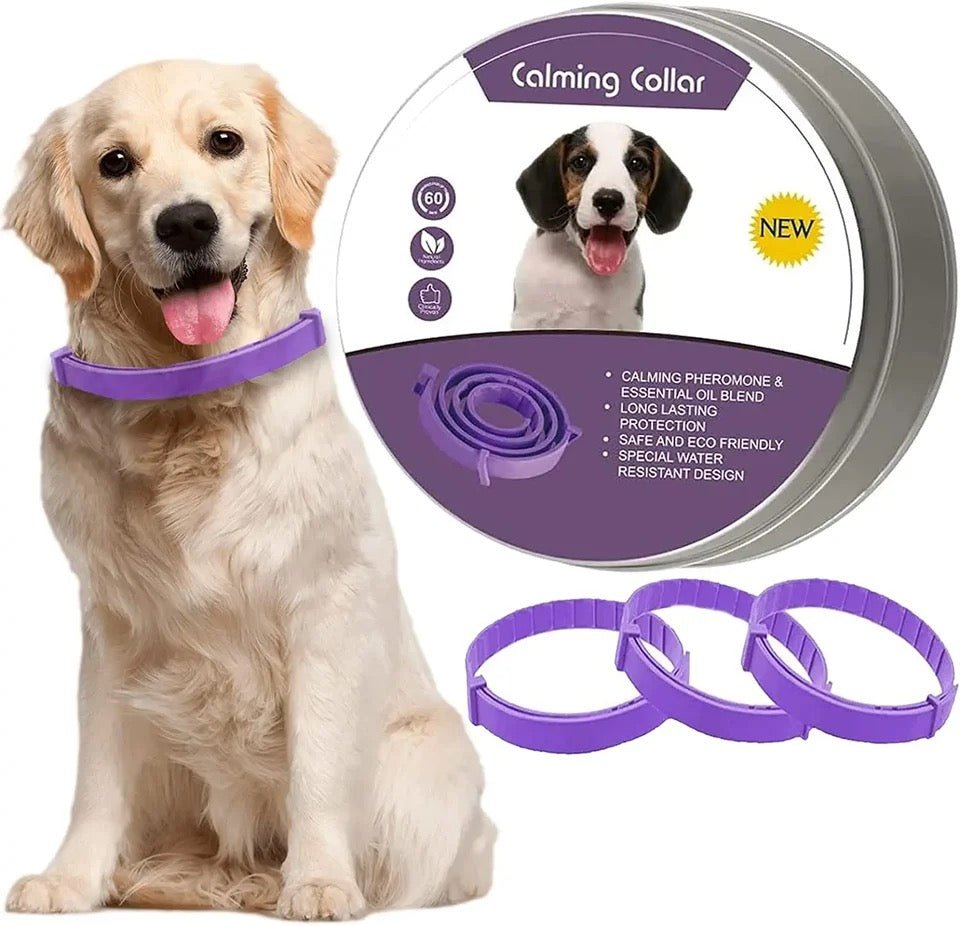 Skorter | Calmdog – Natural Calming Collar for Dogs with Pheromones and Essential Oils