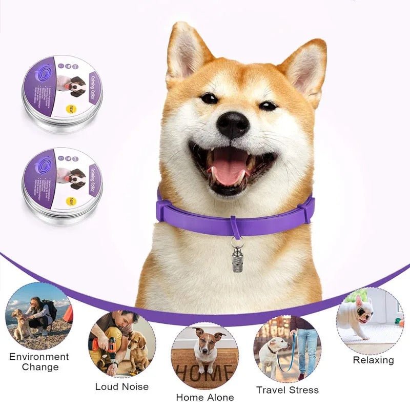 Skorter | Calmdog – Natural Calming Collar for Dogs with Pheromones and Essential Oils