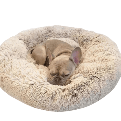 Skorter | SLUMBERPAWS BED – Calming Dog Bed for Deep, Restful Sleep